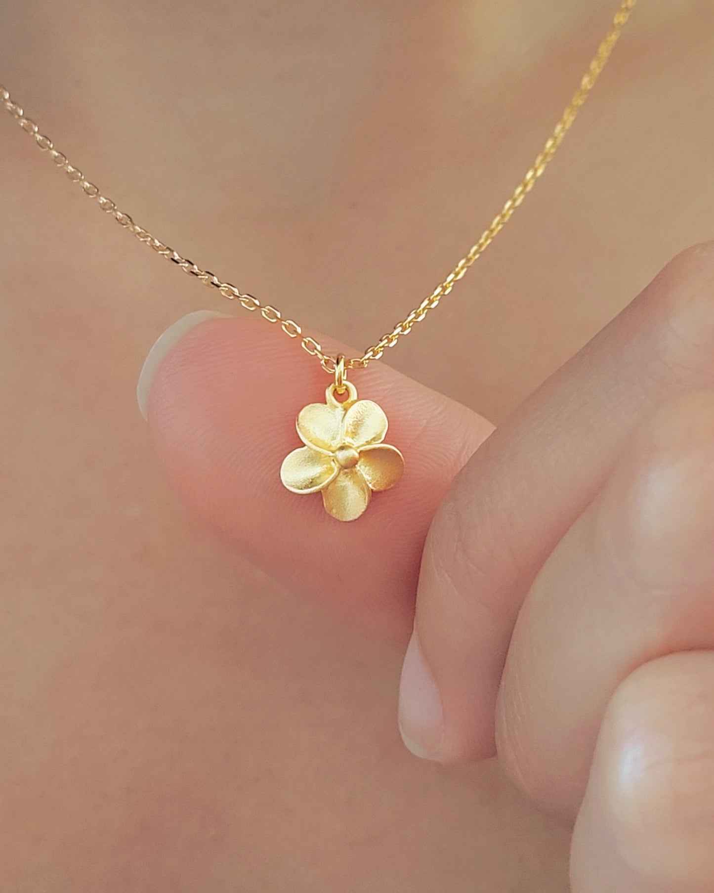 floral plumeria frangipani