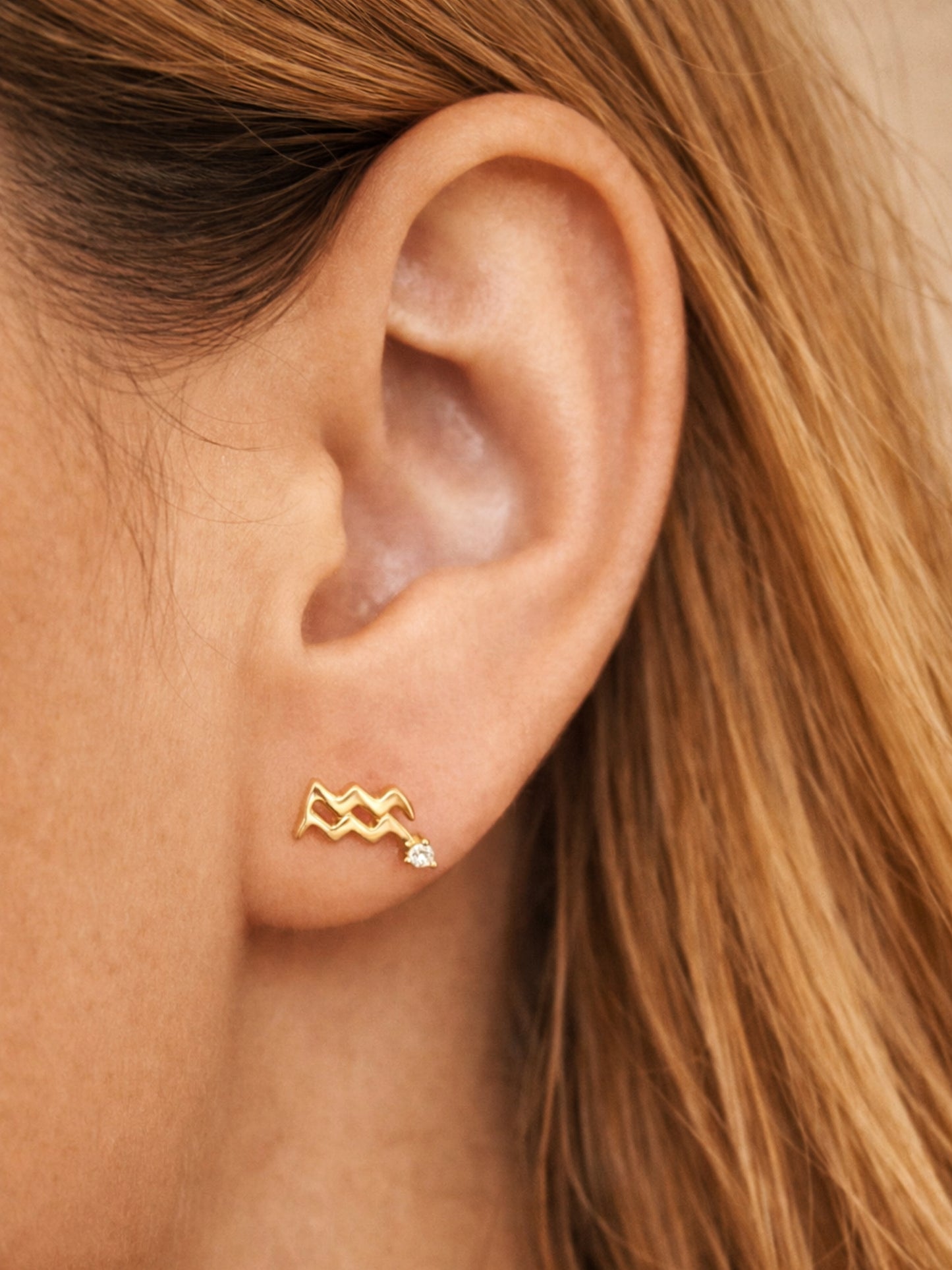 Starry Zodiac Sign Earrings · Aquarius