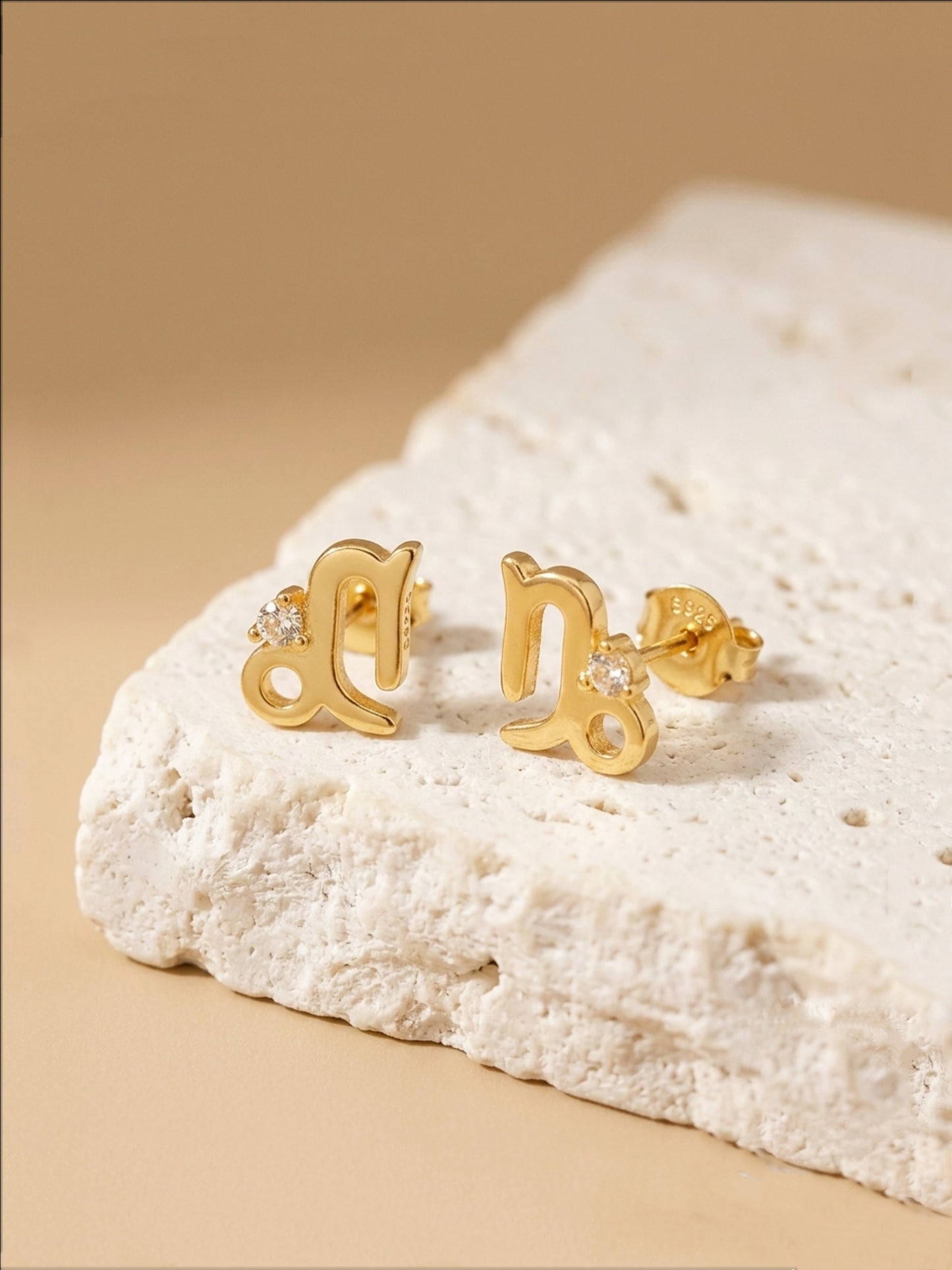 Starry Zodiac Sign Earrings · Capricorn