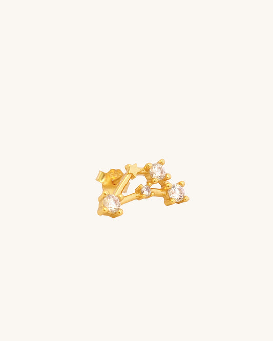 Starry Constellation Earring Capricorn Zodiac jewellery for women