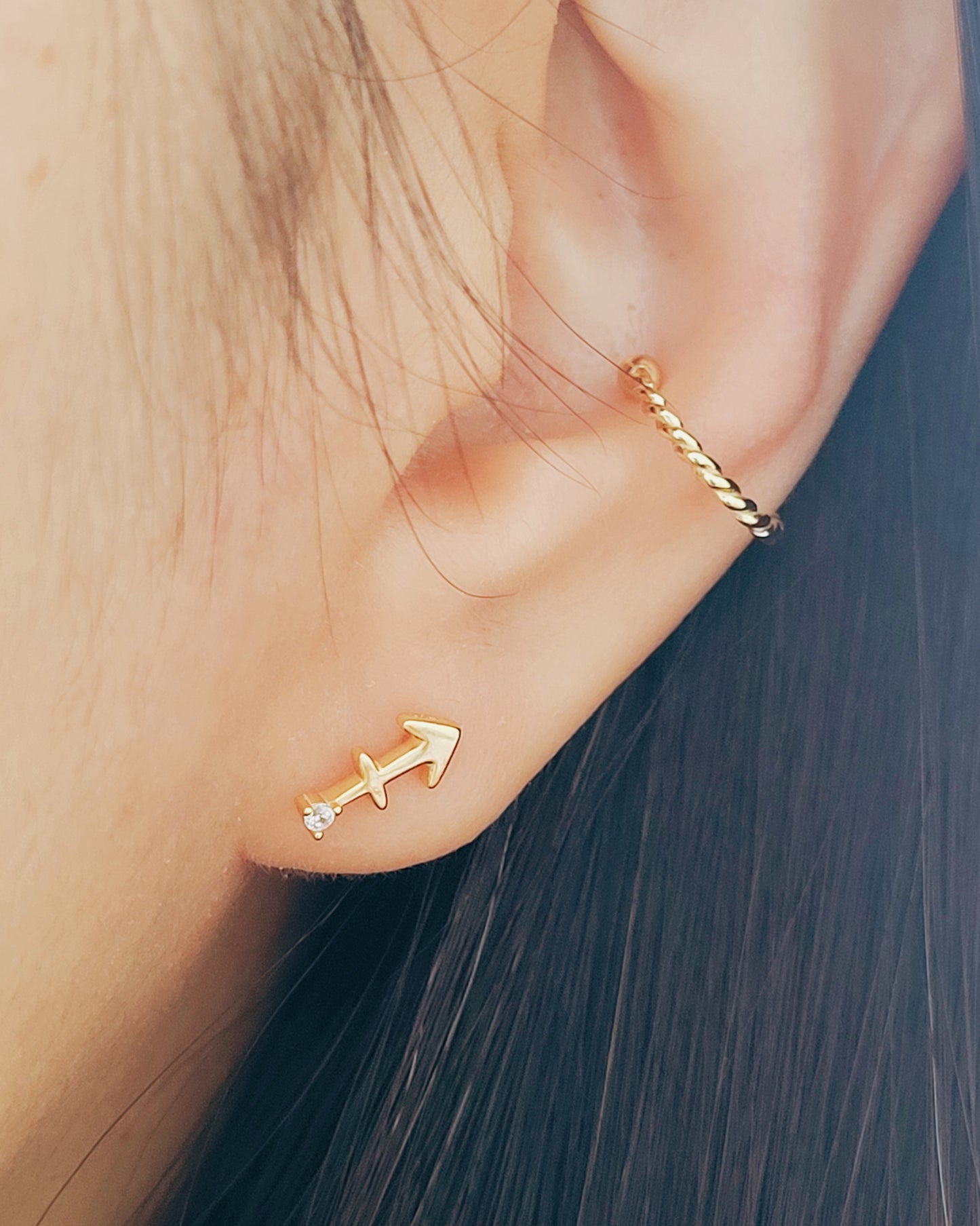 Starry Zodiac Sign Earrings · Sagittarius