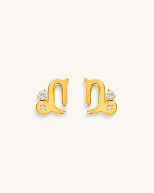 Starry Zodiac Sign Earrings · Capricorn