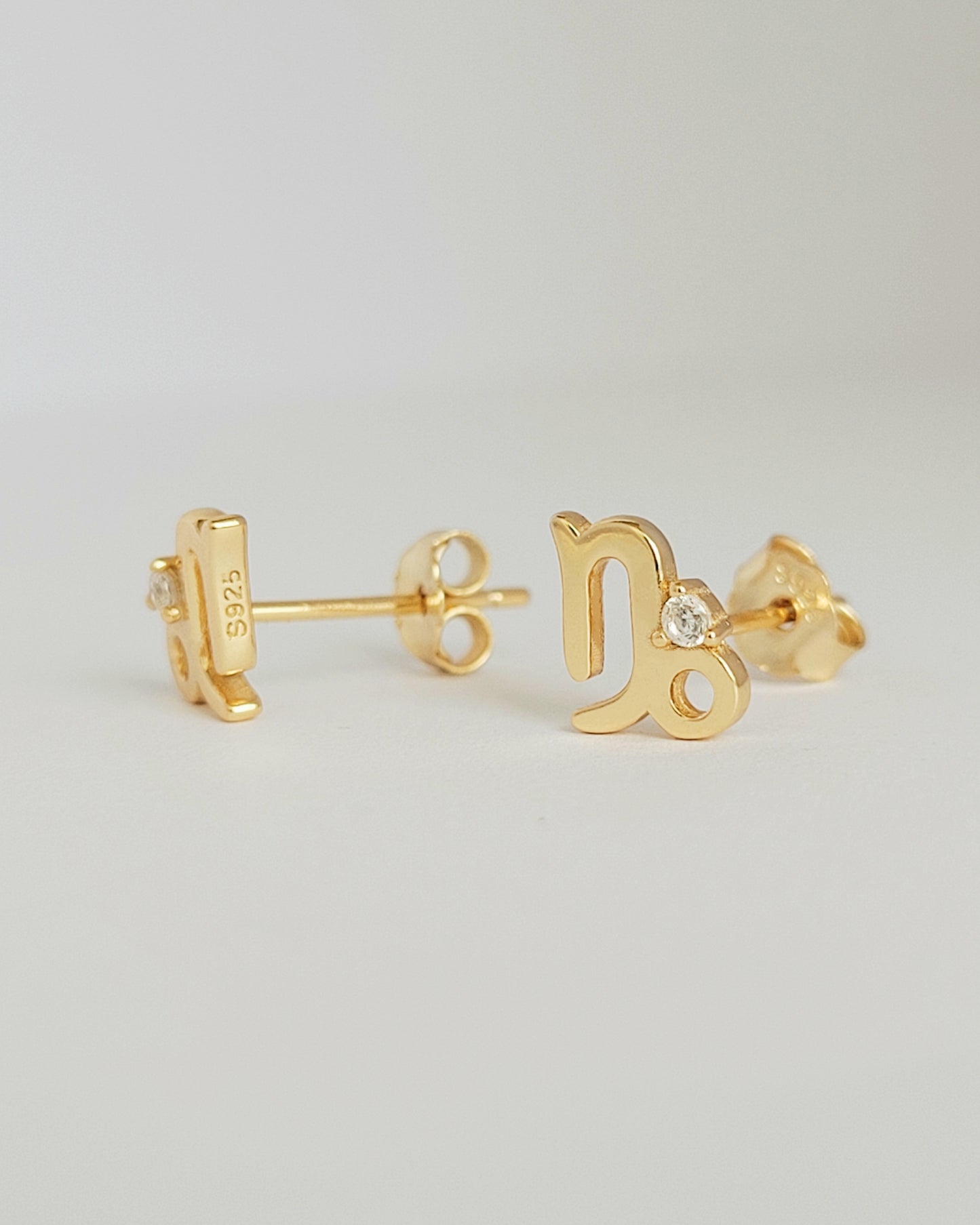 Starry Zodiac Sign Earrings · Capricorn