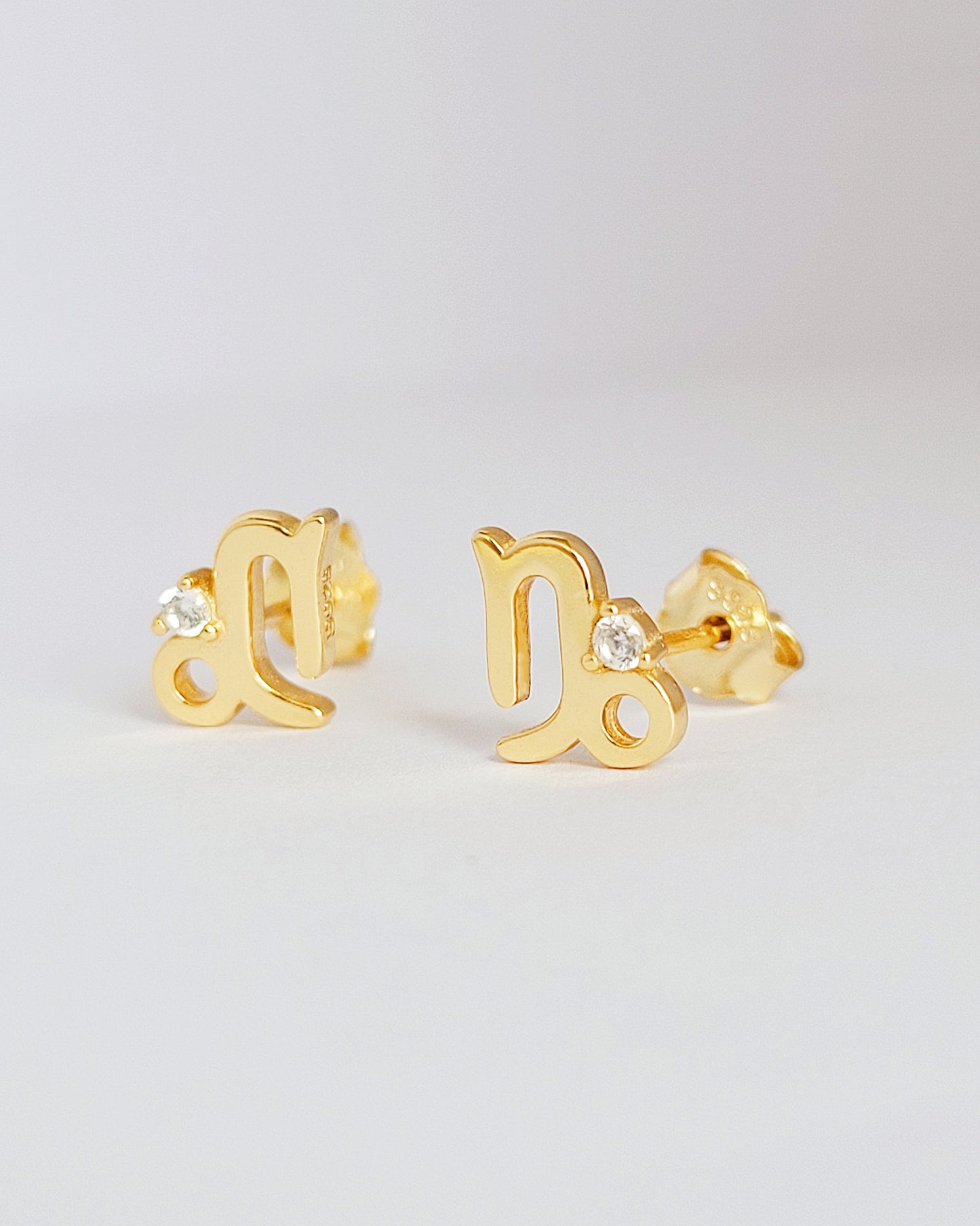 Starry Zodiac Sign Earrings · Capricorn