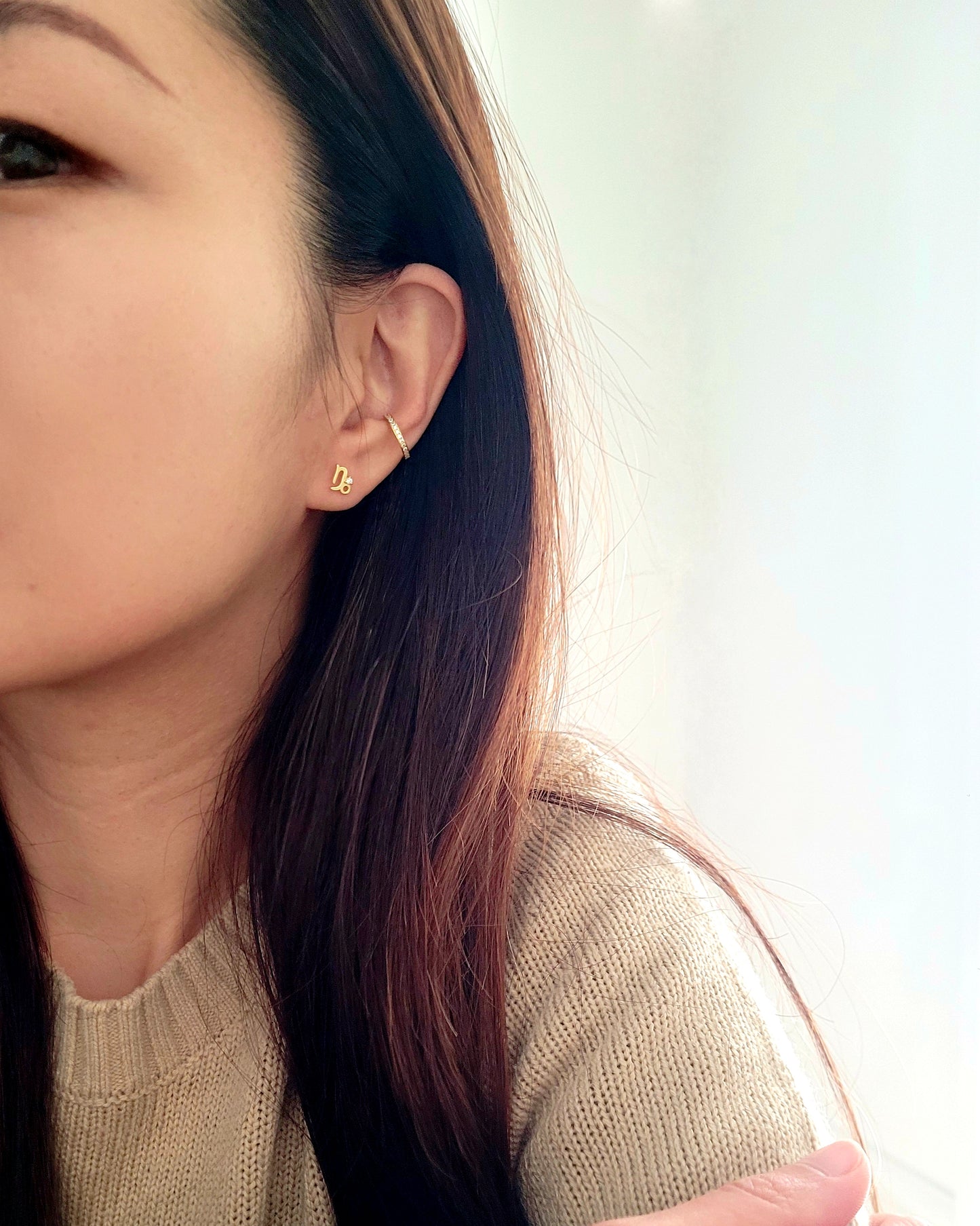 Starry Zodiac Sign Earrings · Capricorn