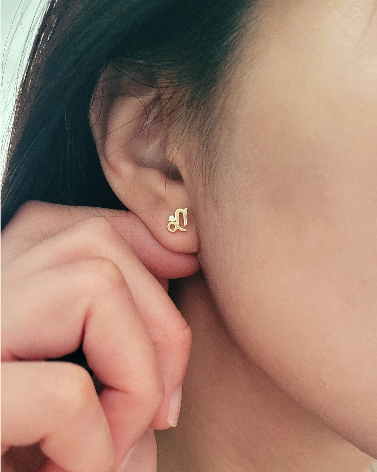 Starry Zodiac Sign Earrings · Capricorn