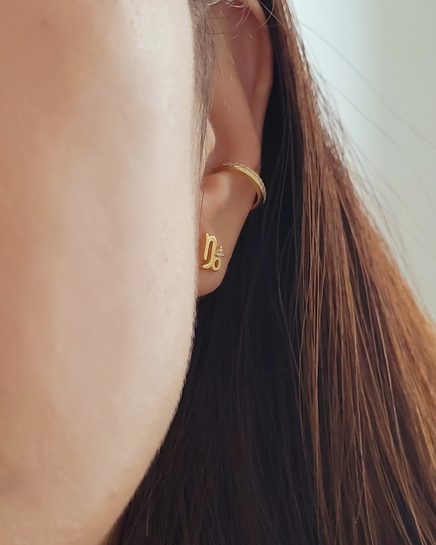 Starry Zodiac Sign Earrings · Capricorn