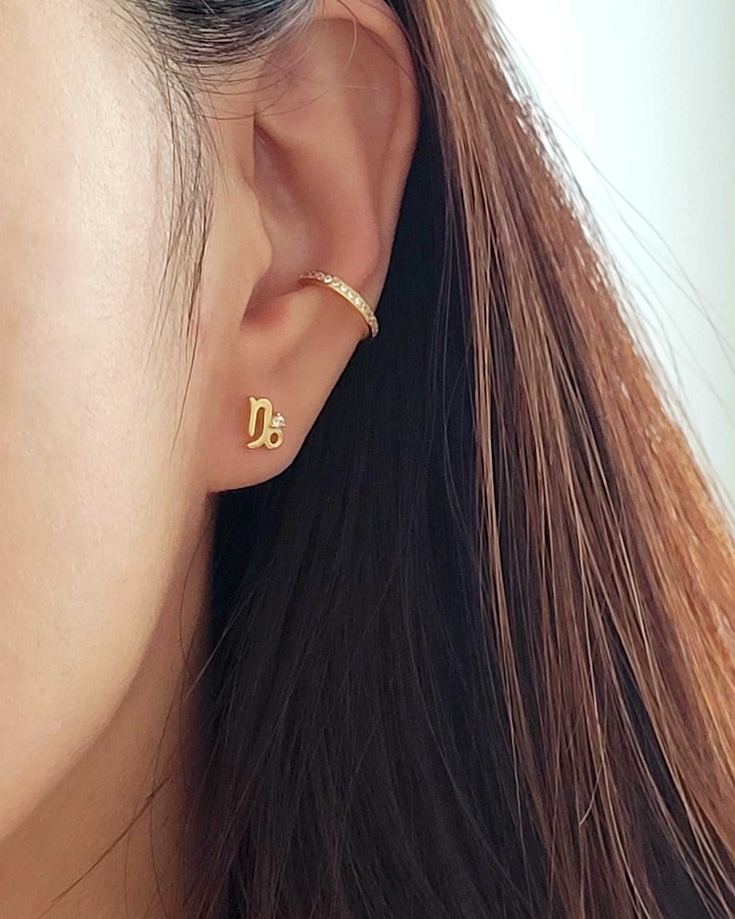 Starry Zodiac Sign Earrings · Capricorn