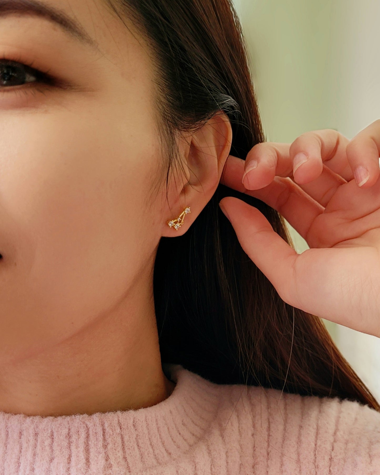 Starry Constellation Earring · Capricorn