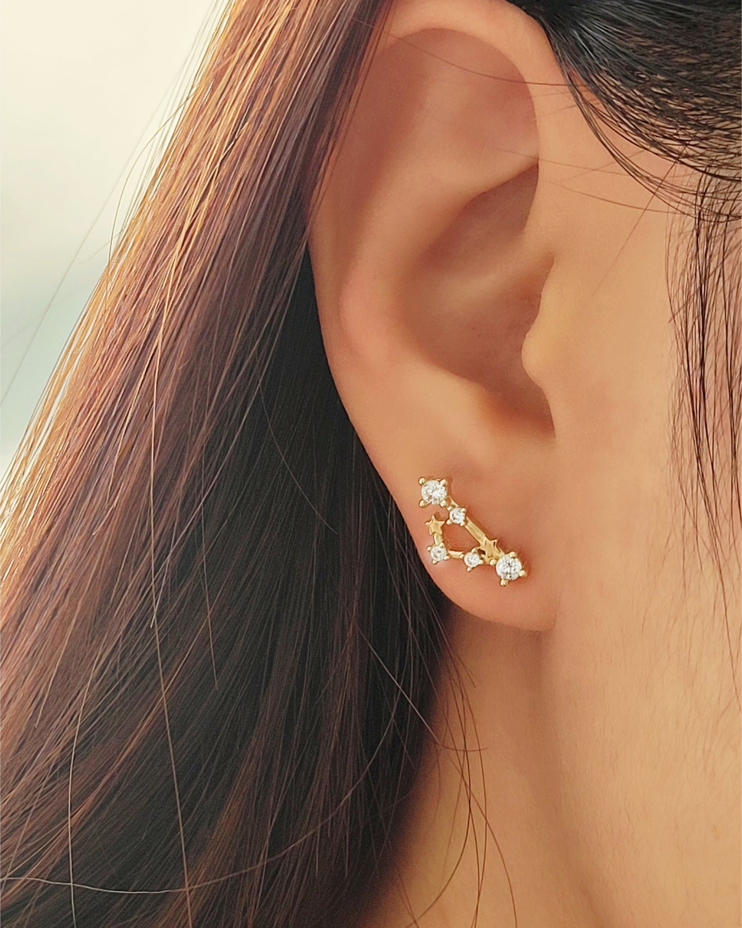 Starry Constellation Earring Pisces Zodiac jewellery for women