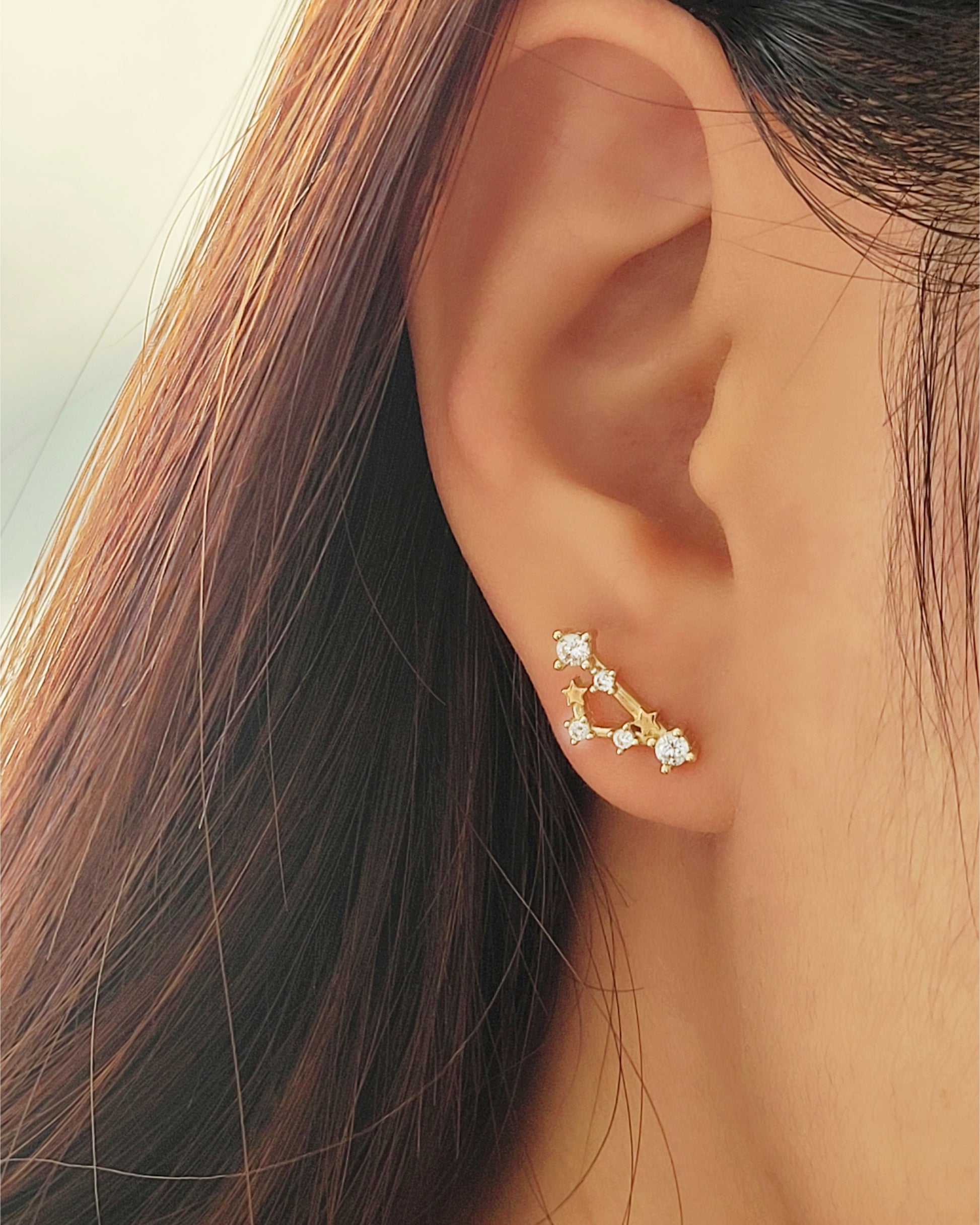 Starry Constellation Earring Pisces Zodiac jewellery for women