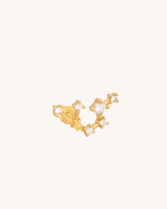 Starry Constellation Earring Aquarius Zodiac jewellery for women