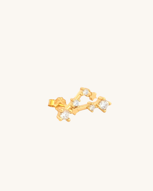 Constellation earrings pisces