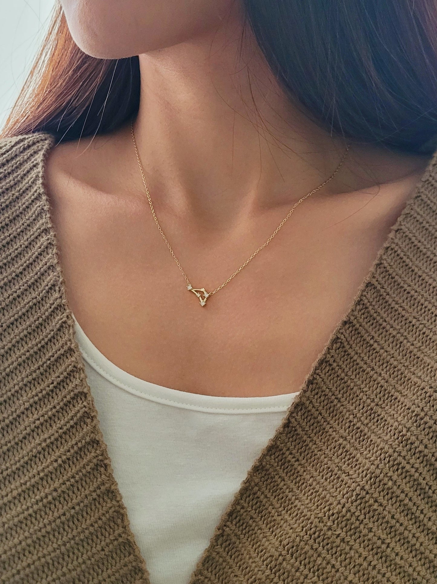 Starry Constellation Necklace · Capricorn