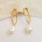 Gold-plated dangle earrings with natural freshwater pearls