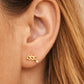 Starry Zodiac Sign Earrings · Aquarius