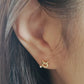 Starry Zodiac Sign Earrings · Taurus