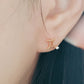 Starry Zodiac Sign Earrings · Gemini