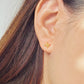 Starry Zodiac Sign Earrings · Pisces