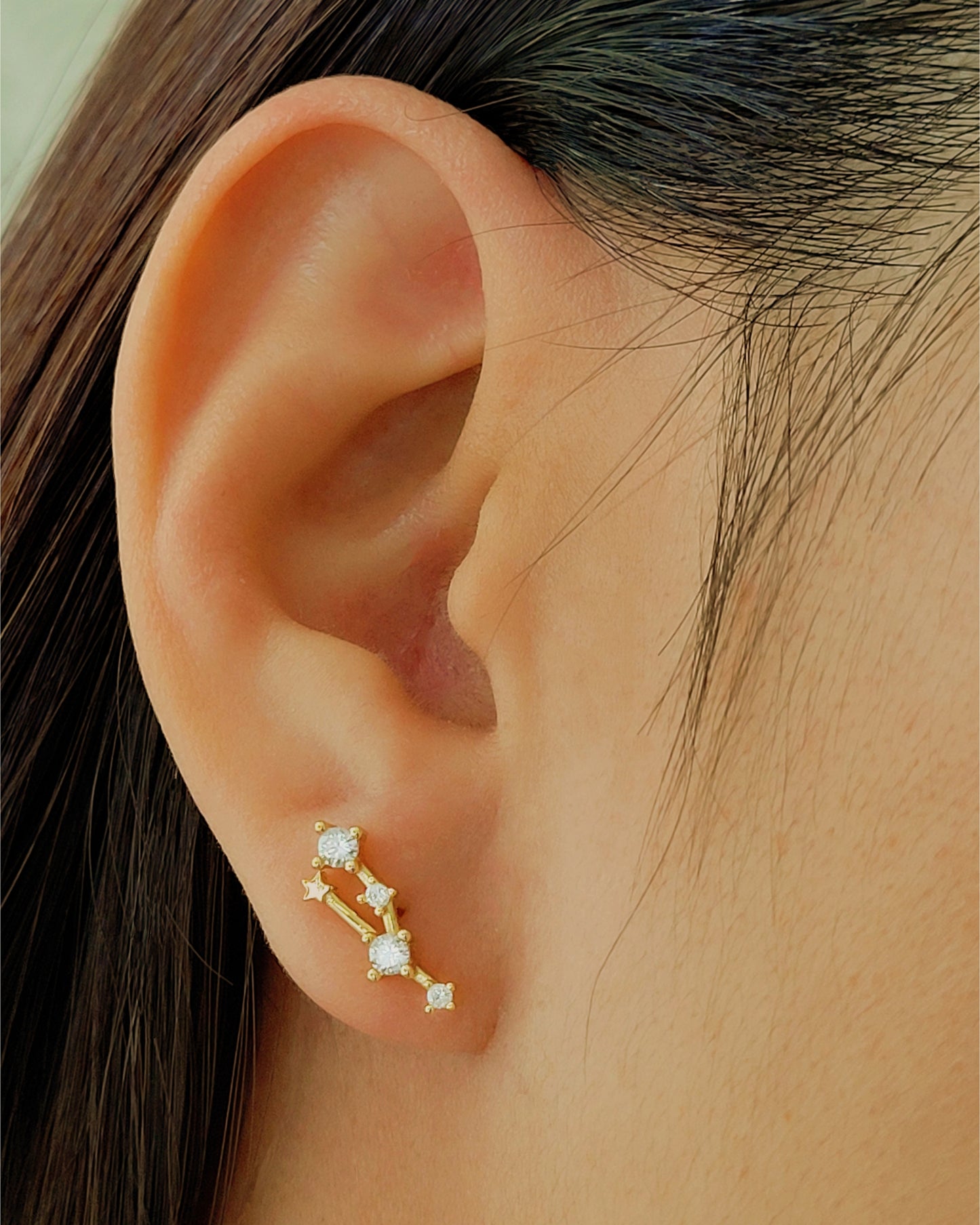 zodiac Constellation earrings taurus