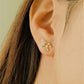 zodiac Constellation earrings Virgo