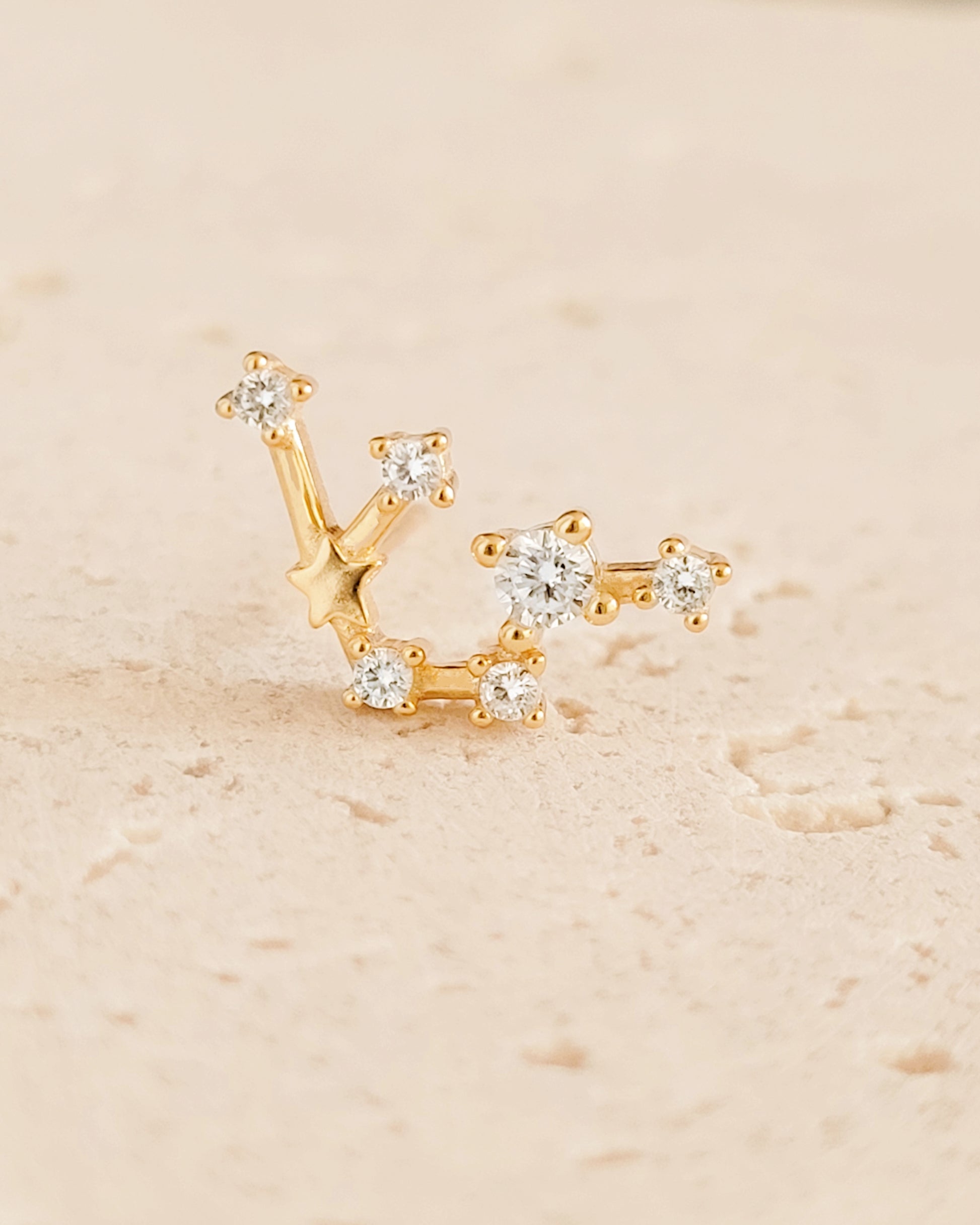 Starry Constellation Earring Aquarius Zodiac jewellery for women