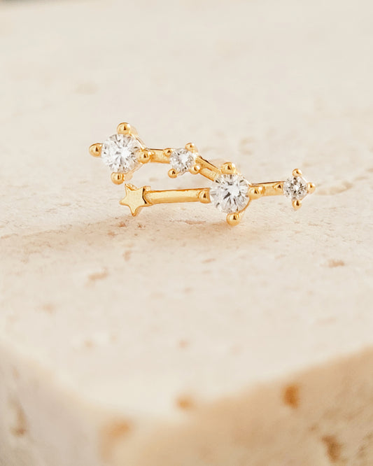 zodiac Constellation earrings taurus
